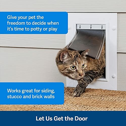 Cat using a pet door with a flap installed in a wall.